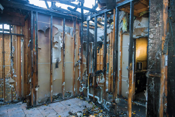 Professional Odor Removal technician working in West Columbia, TX